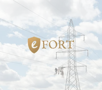 eFORT Project