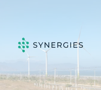 SYNERGIES PROJECT