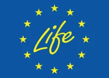 life logo