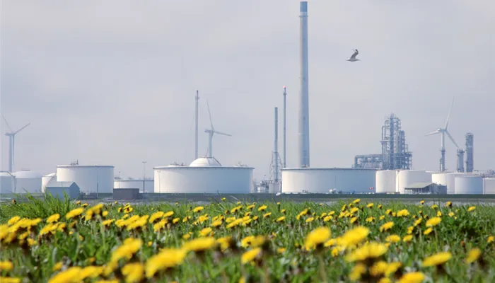 Girasoles en la industria